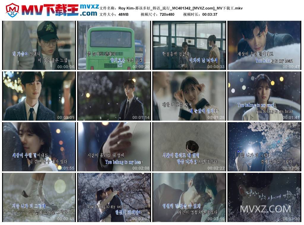Roy Kim-那该多好_韩语_流行_MC401342